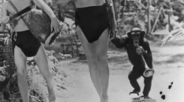 maimuta cheetah din filmul tarzan a murit la 80 de ani video