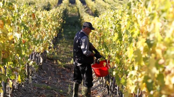 italia elimina de la 1 ianuarie restrictiile pe piata muncii impuse romanilor si bulgarilor presa