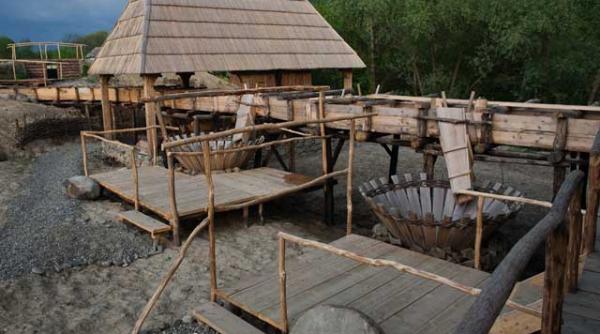 concursuri de fotografie pentru o lume mai buna