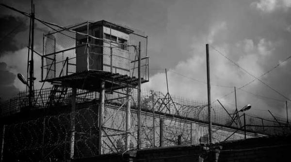 foametea din ucraina