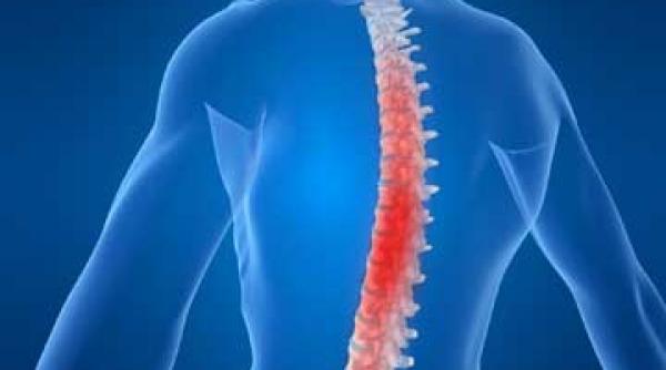a vedea maduva spinarii in 3d tehnica ultramicroscopica de ima gis tica protejeaza tesuturile sanatoase