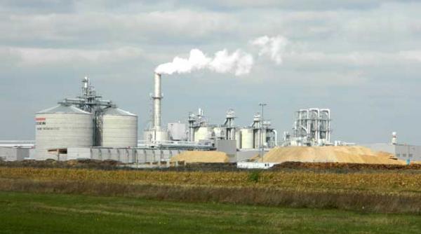 termitele chinezesti si austriece devoreaza padurile romanesti presedintia si guvernul sesizate despre lacomia strainilor