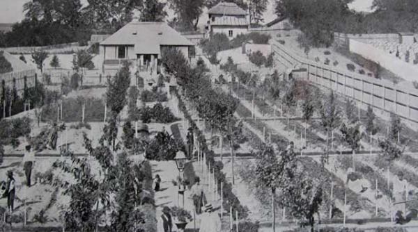 speculantii caritatii acum un veac dr nicolae minovici dadea o sansa vagabonzilor rea da p tandu i la conditia de homo artifex