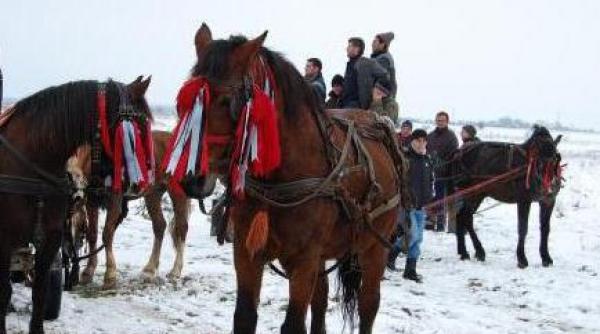 incident la botezul cailor un tanar de 24 de ani a ajuns la spital dupa ce a fost lovit cu copita de animalul pe care l calarea