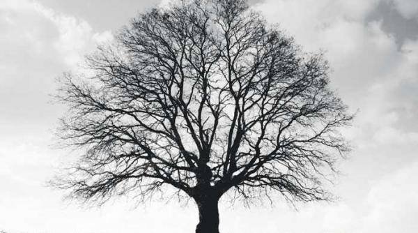 iubesti pur si simplu