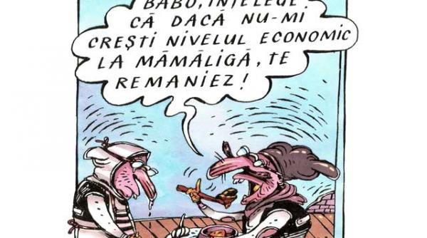 cum remaniem carnea stricata