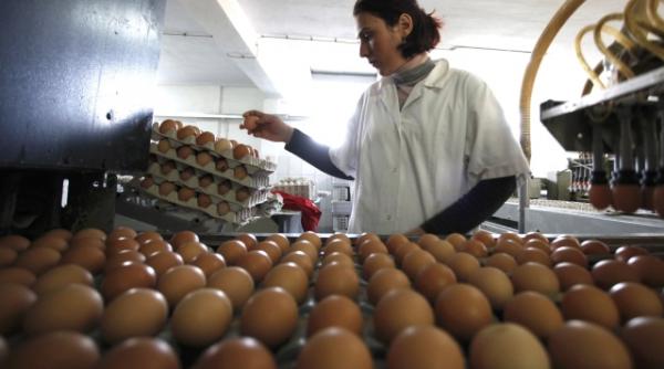 oua stresate marcate cu cifra 3 aduse din polonia si distribuite ilegal cu cifra 1 in supermaketurile din romania