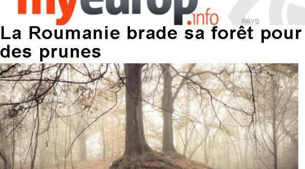 presa straina a descoperit si ea termitele romanesti anchetele jurnalului promovate de media internationala