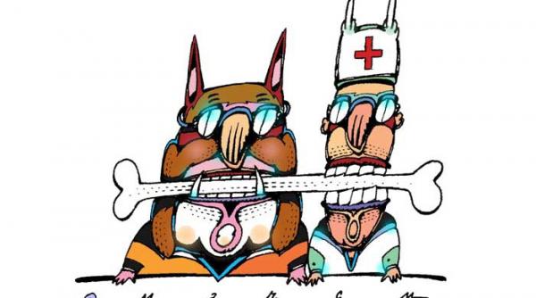 romanul unei biblioteci specializate