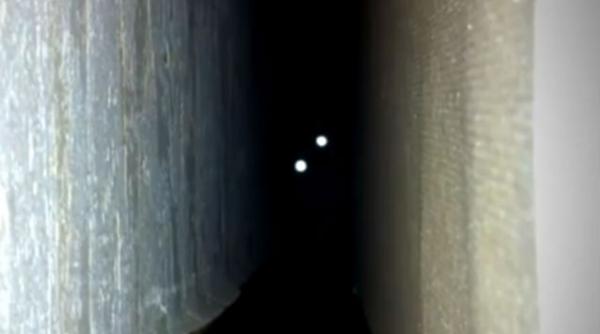 video pisica din iad daca te sperii usor nu te uita la acest clip