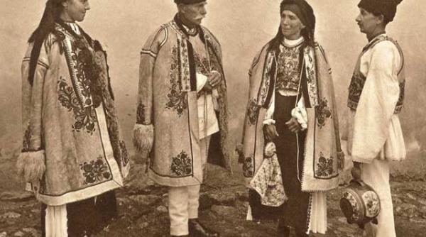 divinitati uitate in miez de anotimp circovii de iarna