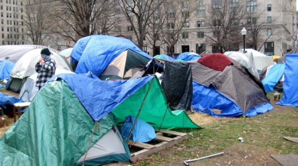 razboiul sobolanilor la washington