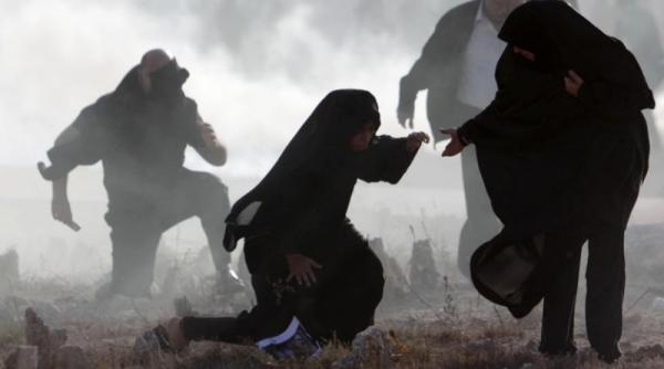 22 ianuarie 2012 imaginile zilei