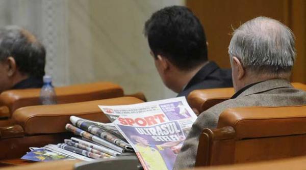 scaunele au urme de dinti