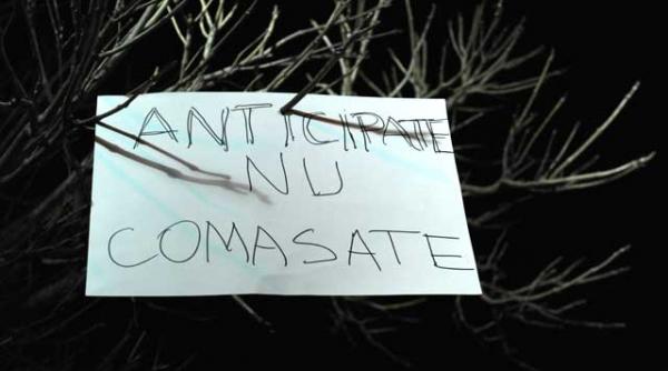 verdict alegerile nu vor fi comasate legea este neconstitutionala guvernul a intrerupt sedinta pentru a discuta despre decizia cc