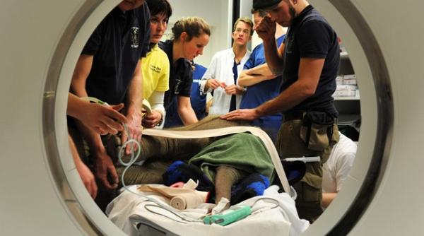 video elefantii de la o gradina zoologica din munchen si au luat adio de la un pui de trei luni care avea probleme cardiace