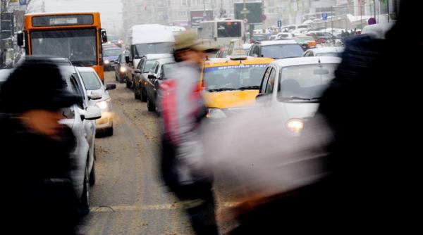 circulatia troleibuzelor blocata in zona universitate din cauza unui copac cazut peste linii