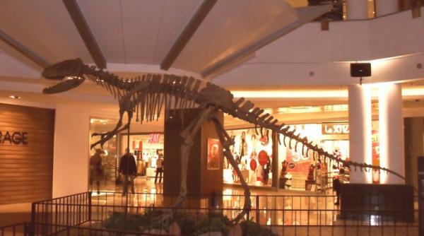 invazie de dinozauri la mall