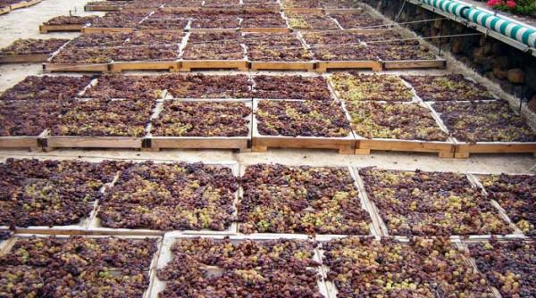 trei insule un numitor comun vinul de excelenta