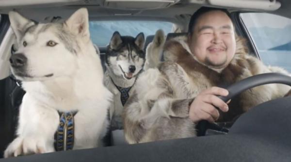 suzuki kizashi este cel mai bun prieten al cainilor husky