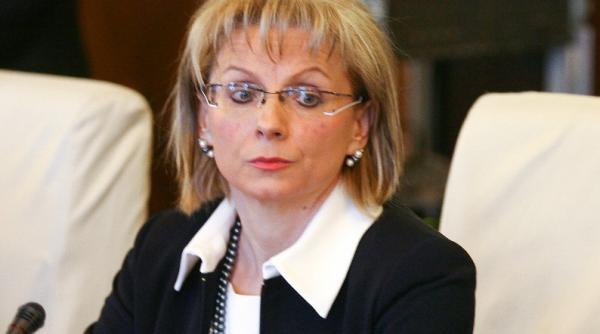 fosta sefa a sgg l a dat in judecata pe boc pe care il acuza de abuz in serviciu daniela andreescu vrea sa fie reangajata