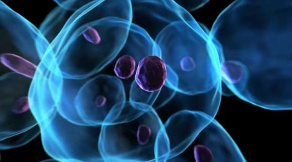 un nou medicament contra cancerului testat acum pe pacienti francezi