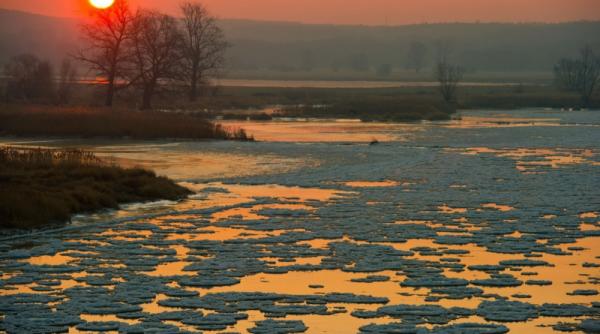 1 februarie 2012 imaginile zilei