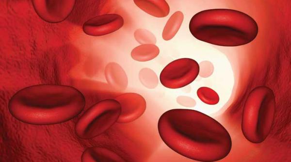 alarma sangereaza tubul digestiv