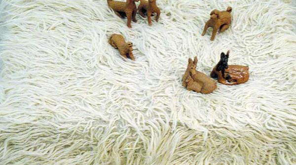 exercitiu de recuperare a povestilor