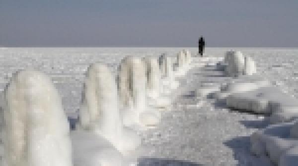 ger ucigas in europa 260 de oameni au murit in ultima saptamana