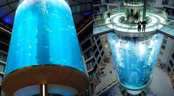 vezi aici trei dintre cele mai spectaculoase lifturi din lume video