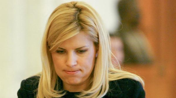elena udrea pe facebook e timpul sa vina un guvern mai putin erodat