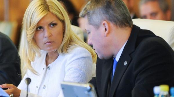 elena udrea si catalin predoiu sunt consateni si au fost colegi de liceu