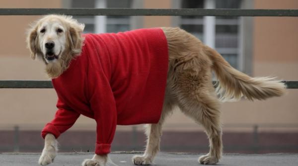 7 februarie 2012 imaginile zilei