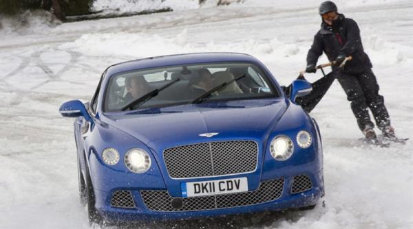 skijoring cu bentley