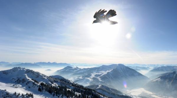 8 februarie 2012 imaginile zilei