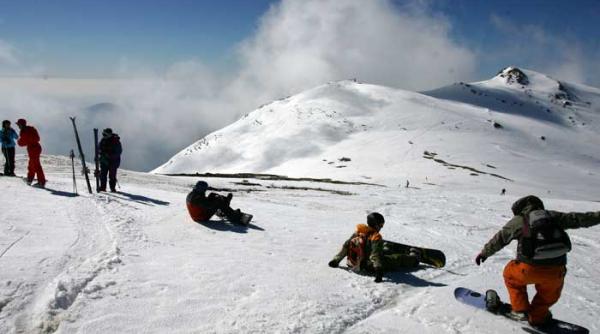 furnica este alba se deschide carpul