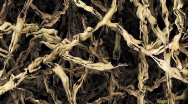 video peste 2 milioane de corpuri umane goale intr o opera de arta