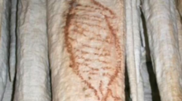 bomba academica cele mai vechi opere de arta din lume descoperite in spania video