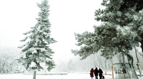 57 de oameni au murit in romania din cauza frigului