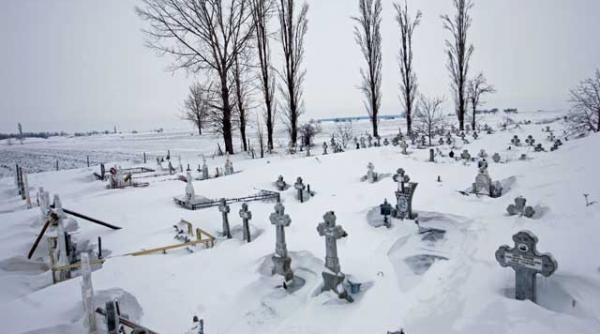 niste betivi lenesi din romania tropicala