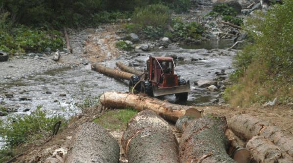 autorii jafului din parcul national retezat niste drujbisti rupti in fund