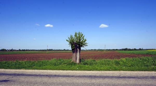 bancile vor sa scoata banii ingropati in pamanturi