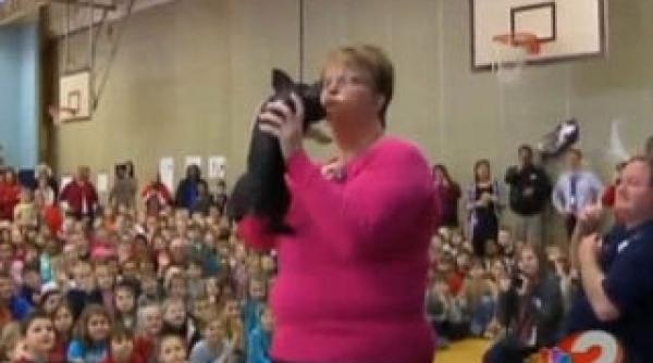 directoarea unei scoli americane a pupat un purcelus dupa ce a pierdut un pariu cu elevii sai video