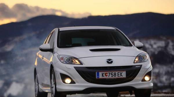 muschi pe patru roti