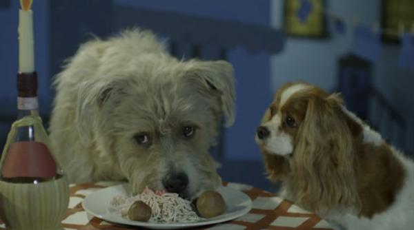 video doamna si vagabondul in varianta reala