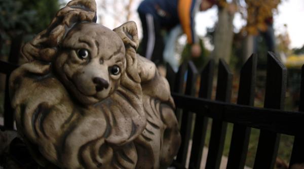 a furat diamante din mormantul unui caine