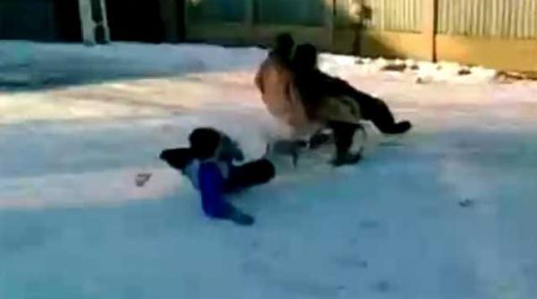 cum sa darami o poarta in voiniceni cu sania video