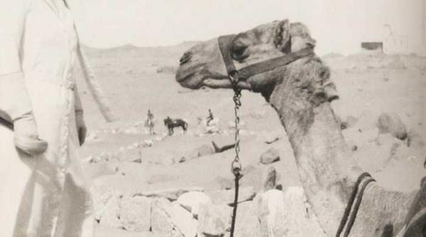 maria regina romaniei povestea vietii mele 53