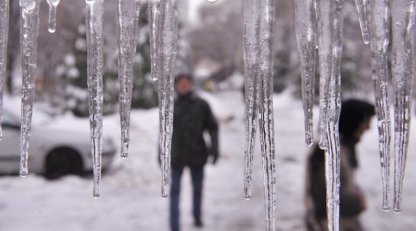 un barbat din barlad a murit dupa ce a fost lovit in cap de un turture